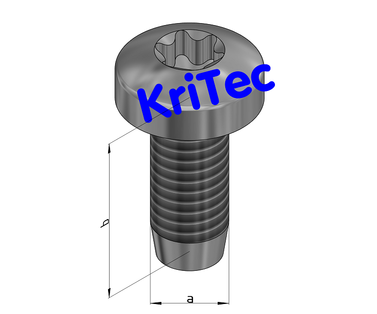 KriTec gewindefurchende Halbrundschrauben TX