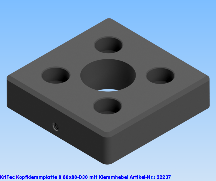 KriTec Kopfklemmplatte 8 80x80-D30 mit Klemmhebel