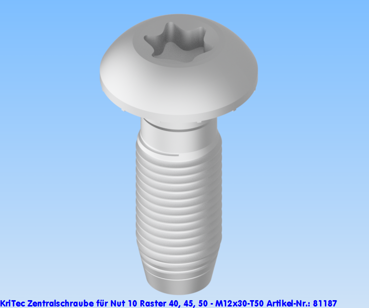 KriTec Zentralschraube für Nut 10 Raster 40, 45, 50, 60 - M12x30-T50