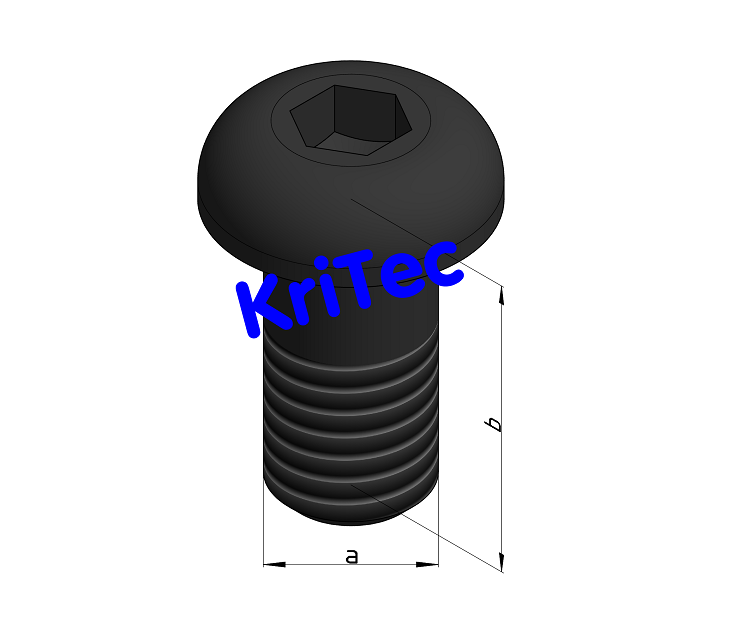 KriTec Halbrundschraube Stahl schwarz