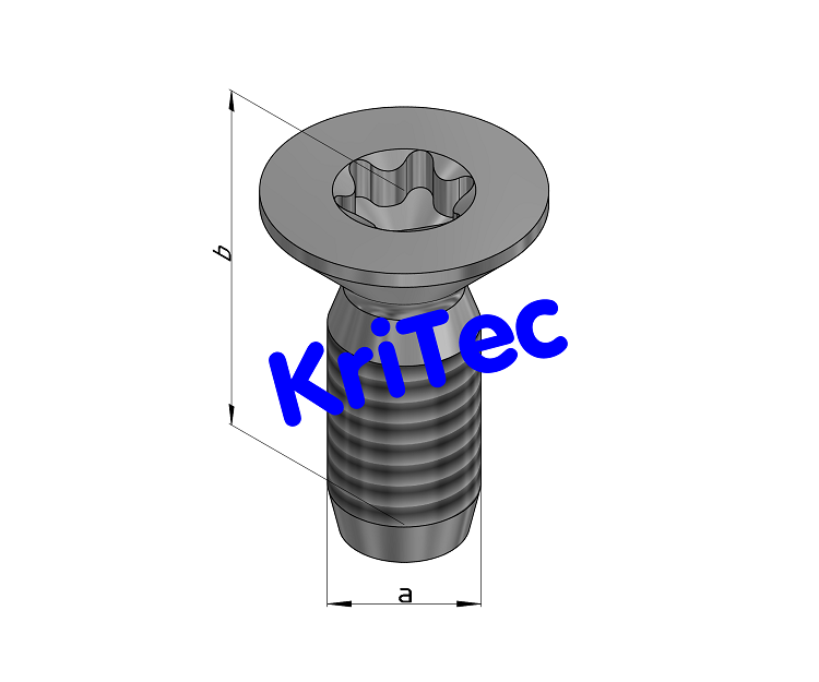 KriTec gewindefurchende Senkkopfschrauben TX DIN 7500