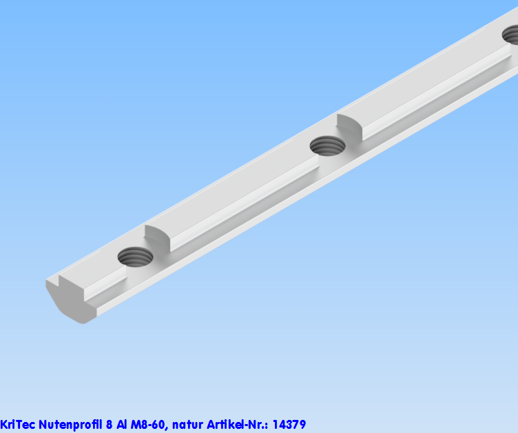 KriTec Nutenprofil 8 Al M8-60, natur