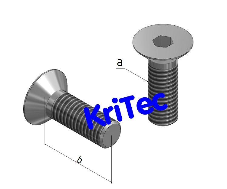 KriTec Senkkopfschrauben ISO 10642 (DIN 7991) verzinkt
