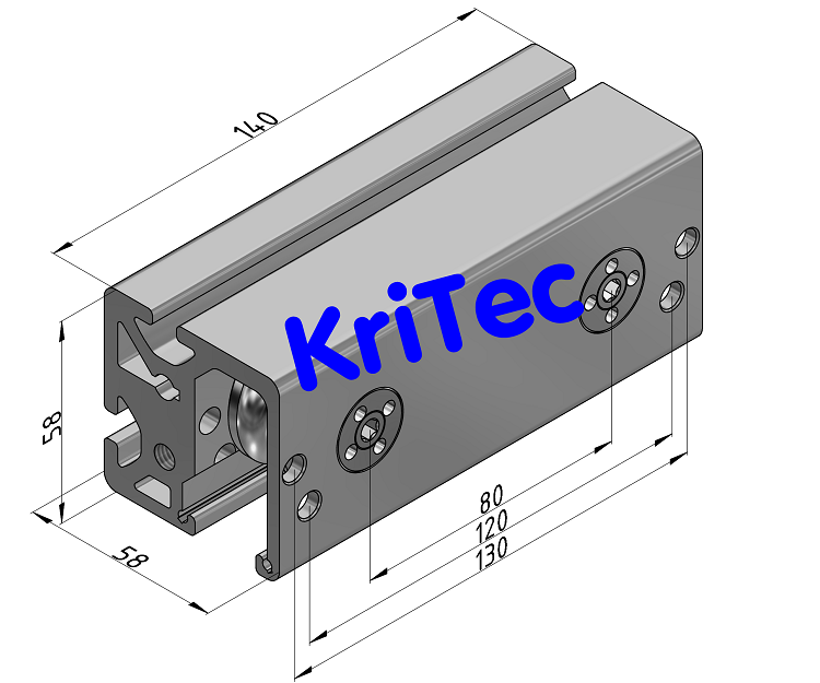 KriTec Doppellagereinheit 8 D14 Rundschliff zentrisch und exzentrisch, VA rostfrei