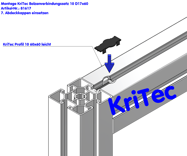 KriTec Bolzenverbindungssatz 10 D17x60