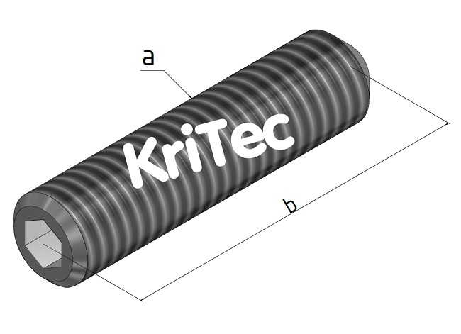 KriTec Gewindestifte ISO 4029 (DIN 916) verzinkt mit Innensechskant und Ringschneide