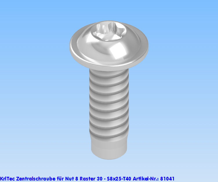 KriTec Zentralschrauben S8x25-T40 für Nut 8 Raster 30
