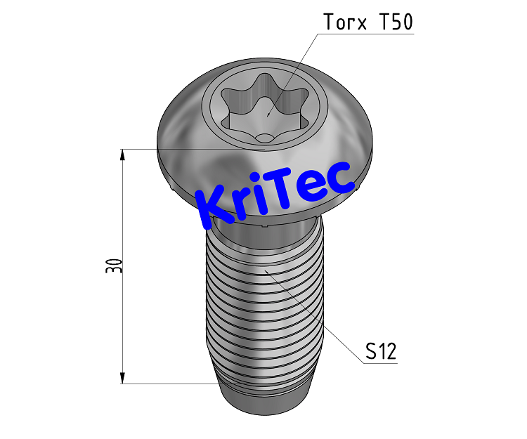 KriTec Zentralschraube für Nut 10 Raster 40, 45, 50, 60 - S12x30-T50